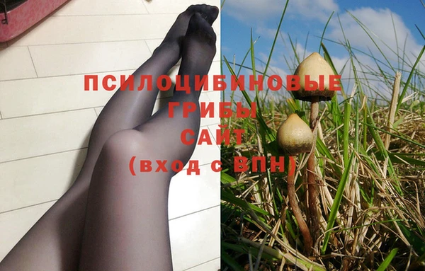 мескалин Алексеевка